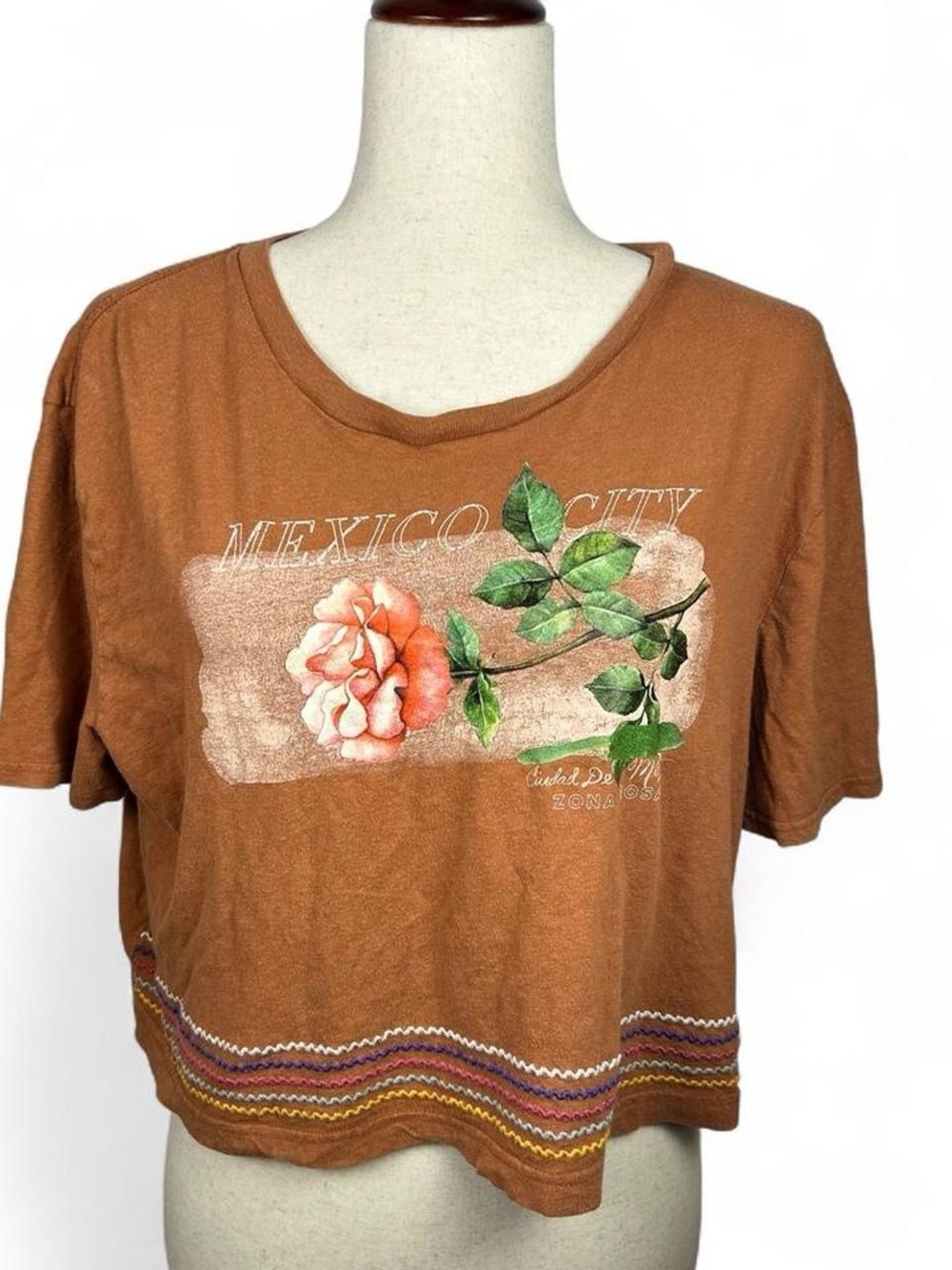 Aero Mexico City Floral Cropped Top - Brown